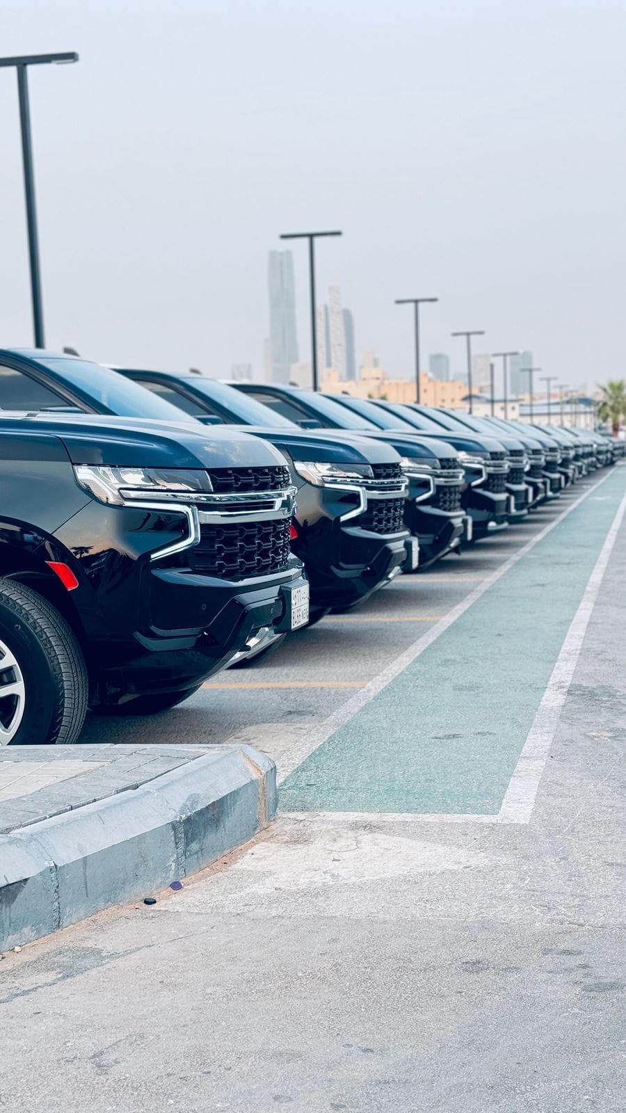 Luxury Fleet
